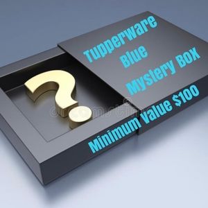 Tupperware Blue Mystery Box- Minimum value $100